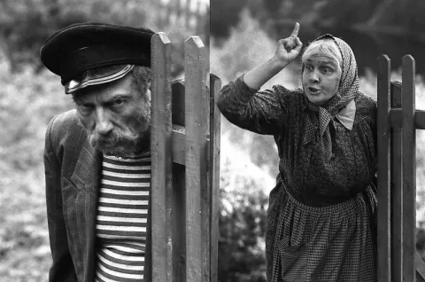 Любовь и голуби — кадр 1
