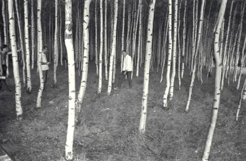 Звезды и солдаты — кадр 3