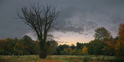 Арборист — кадр 3