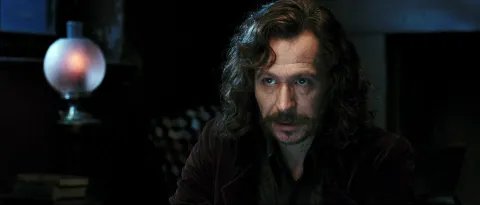 Гарри Поттер и Орден Феникса — кадр 11