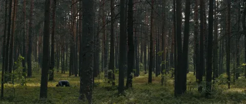 Правда — кадр 10