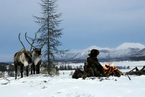 Волк — кадр 1