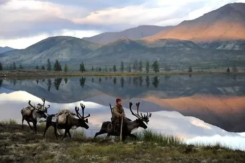 Волк — кадр 3