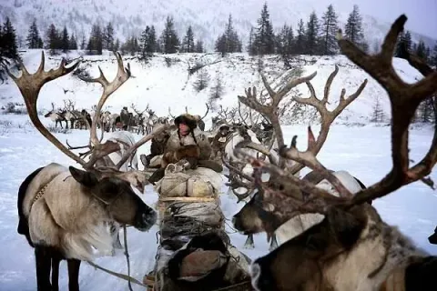 Волк — кадр 5