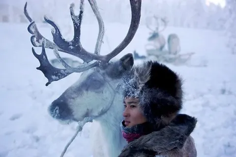Волк — кадр 9