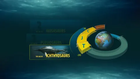 Морские динозавры 3D: Путешествие в доисторический мир — кадр 8