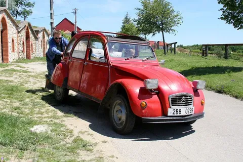 2 ягоды — кадр 8