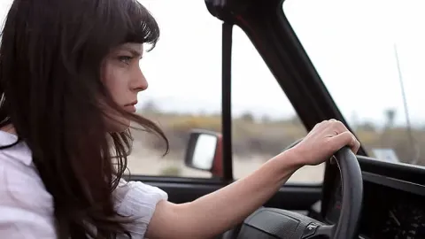 Шина — кадр 9