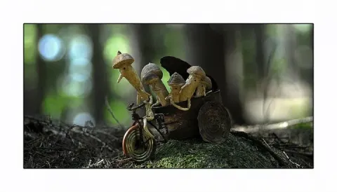 Куки возвращается — кадр 3