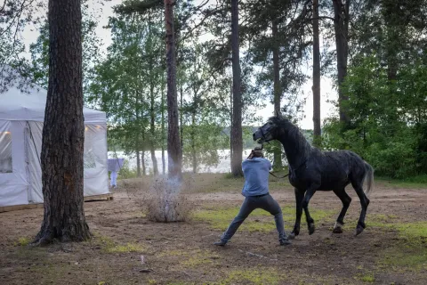 Преторианец — кадр 3