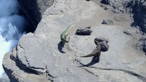 Тарбозавр 3D — кадр 6