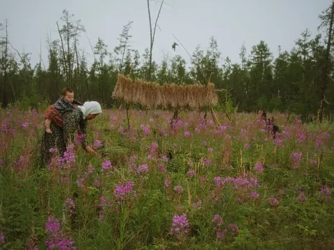 Не хороните меня без Ивана — кадр 12