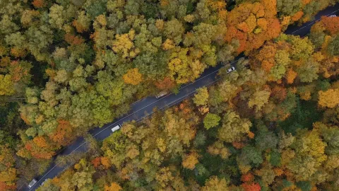 Тихая гавань — кадр 2