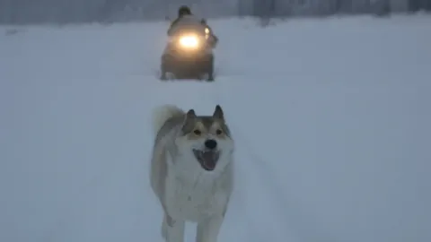 Счастливые люди: Год в тайге — кадр 5