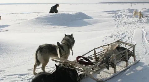 Счастливые люди: Год в тайге — кадр 6