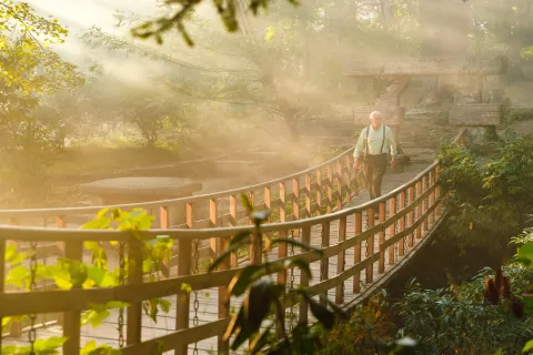 Чебурашка. Выходной — кадр 5
