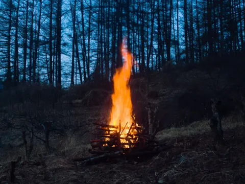 Ни один, ни два — кадр 2