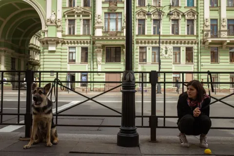 Догги — кадр 1