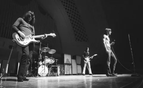 Gimme Danger. История Игги и The Stooges — кадр 3