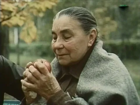 Деревья на асфальте — кадр 1