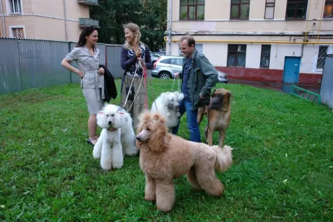 Краткий курс счастливой жизни — кадр 6