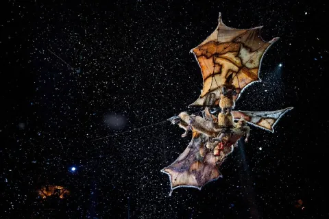 Cirque du Soleil: Сказочный мир — кадр 3