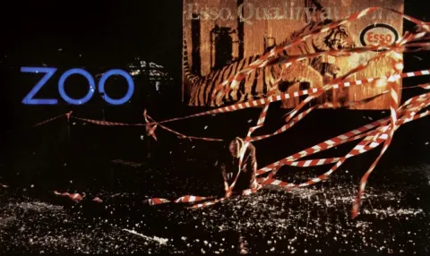 Зед и два нуля — кадр 4