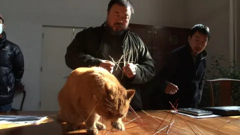 Ай Вейвей: Никогда не извиняйся — кадр 4