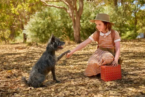 Мой любимый двортерьер — кадр 1