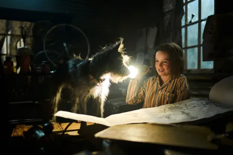 Мой любимый двортерьер — кадр 11
