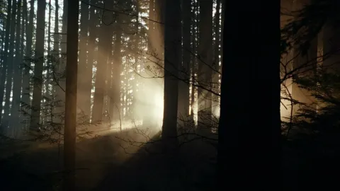 Крипер — кадр 4