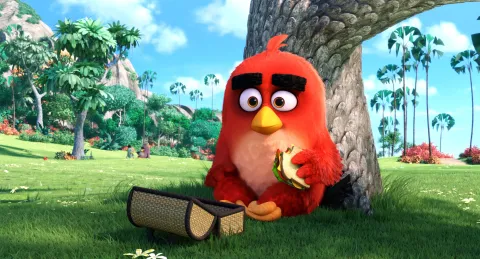 Angry Birds в кино / Энгри Бердз — кадр 1