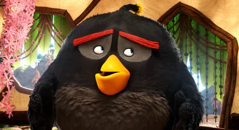 Angry Birds в кино / Энгри Бердз — кадр 6