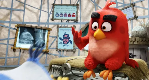 Angry Birds в кино / Энгри Бердз — кадр 11