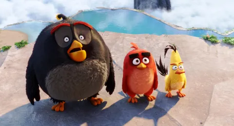 Angry Birds в кино / Энгри Бердз — кадр 12