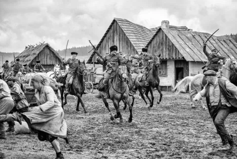 Раскрашенная птица — кадр 7