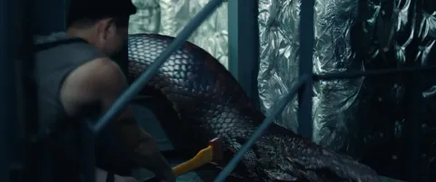 Анаконда. Подъём с глубины — кадр 12