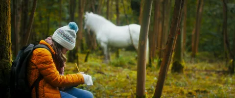 Волшебный единорог — кадр 2