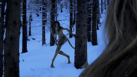 Хвост — кадр 10