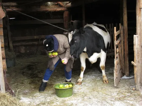 Небесные жёны луговых мари — кадр 11