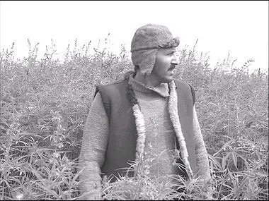 Коноплянка — кадр 2