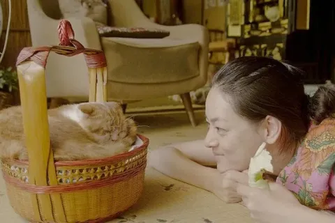 Кошка напрокат — кадр 8