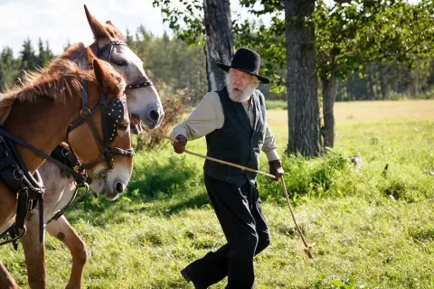 Заброшеный — кадр 9