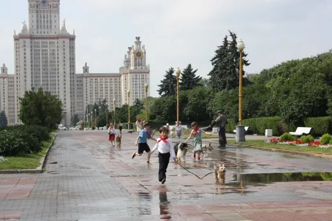 Собачий рай — кадр 3