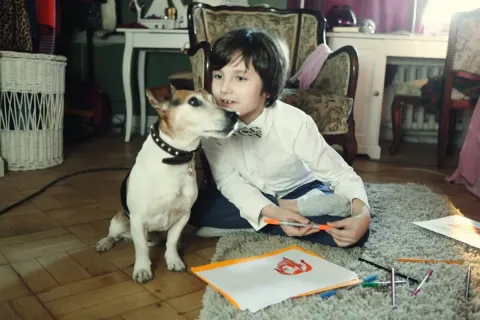Васильки для Василисы — кадр 8