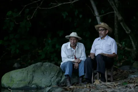 Я мечтаю на другом языке — кадр 7