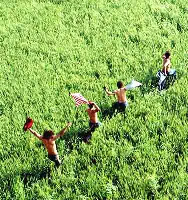Цвет шафрана — кадр 11