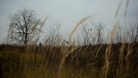 Хорло — кадр 6