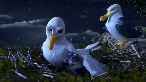 Птичий дозор — кадр 8