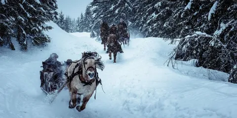Биркебейнеры — кадр 10